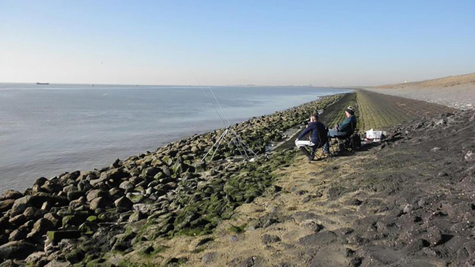 Residentie Oosterschelde 호텔 신트필립스랜드 외부 사진